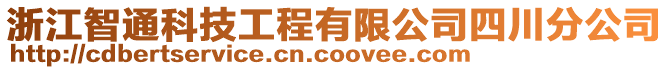 浙江智通科技工程有限公司四川分公司