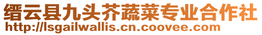 縉云縣九頭芥蔬菜專業(yè)合作社