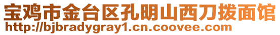 寶雞市金臺區(qū)孔明山西刀撥面館