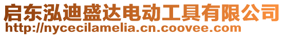 啟東泓迪盛達(dá)電動工具有限公司