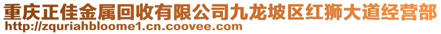 重慶正佳金屬回收有限公司九龍坡區(qū)紅獅大道經(jīng)營部