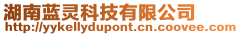 湖南藍(lán)靈科技有限公司