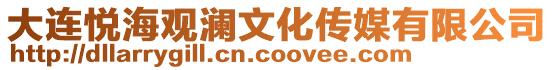 大連悅海觀瀾文化傳媒有限公司