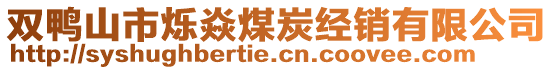 雙鴨山市爍焱煤炭經銷有限公司