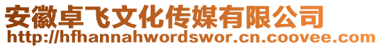 安徽卓飛文化傳媒有限公司