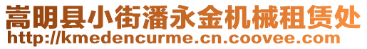 嵩明縣小街潘永金機械租賃處