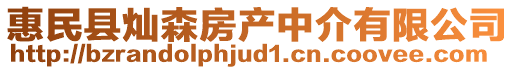 惠民縣燦森房產(chǎn)中介有限公司