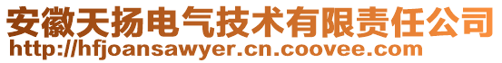 安徽天揚(yáng)電氣技術(shù)有限責(zé)任公司