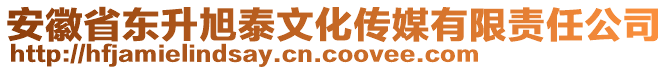 安徽省東升旭泰文化傳媒有限責(zé)任公司