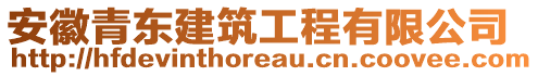 安徽青東建筑工程有限公司