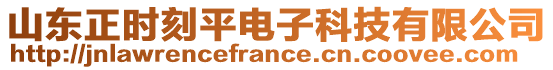 山東正時(shí)刻平電子科技有限公司