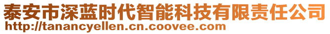 泰安市深藍(lán)時(shí)代智能科技有限責(zé)任公司