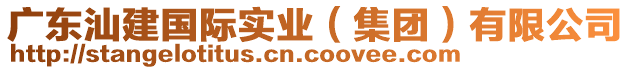 廣東汕建國(guó)際實(shí)業(yè)（集團(tuán)）有限公司