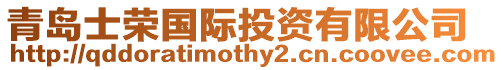 青島士榮國際投資有限公司