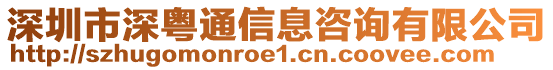 深圳市深粵通信息咨詢有限公司