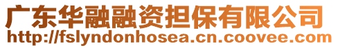 廣東華融融資擔保有限公司