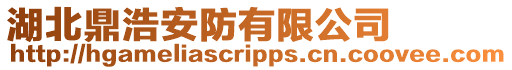 湖北鼎浩安防有限公司
