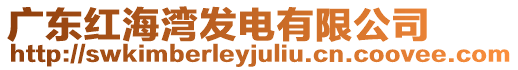 廣東紅海灣發(fā)電有限公司