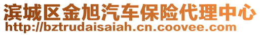 濱城區金旭汽車保險代理中心