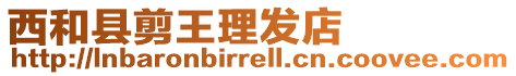 西和縣剪王理發店