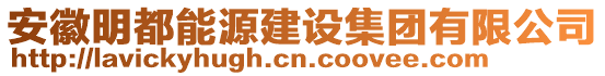 安徽明都能源建設(shè)集團(tuán)有限公司
