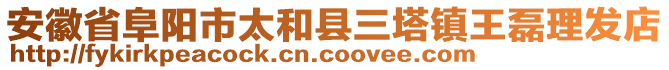 安徽省阜陽市太和縣三塔鎮王磊理發店