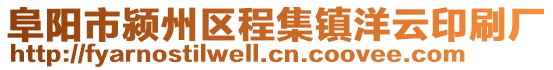 阜陽市潁州區程集鎮洋云印刷廠