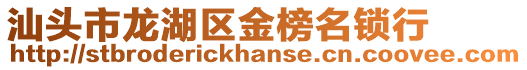 汕頭市龍湖區(qū)金榜名鎖行