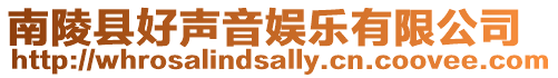 南陵縣好聲音娛樂(lè)有限公司