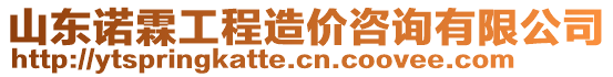 山東諾霖工程造價咨詢有限公司
