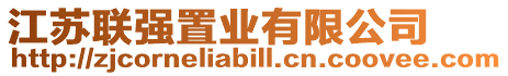 江蘇聯強置業有限公司