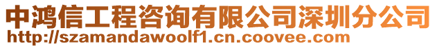 中鴻信工程咨詢有限公司深圳分公司