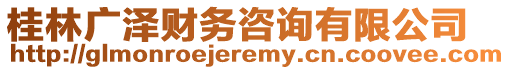 桂林廣澤財務(wù)咨詢有限公司
