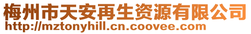 梅州市天安再生資源有限公司