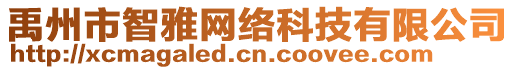 禹州市智雅网络科技有限公司