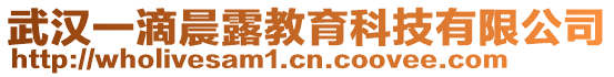 武漢一滴晨露教育科技有限公司