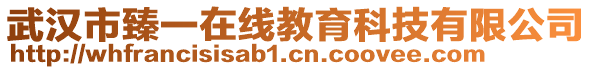 武漢市臻一在線教育科技有限公司