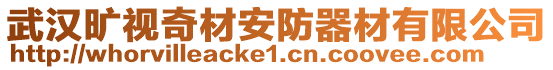 武漢曠視奇材安防器材有限公司