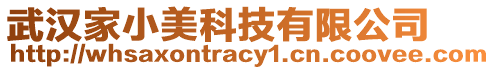 武漢家小美科技有限公司