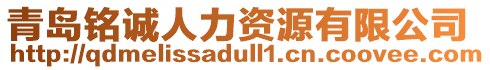 青島銘誠(chéng)人力資源有限公司