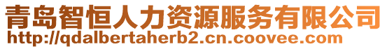 青島智恒人力資源服務(wù)有限公司