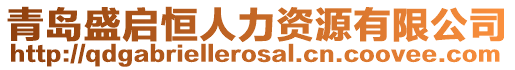 青島盛啟恒人力資源有限公司