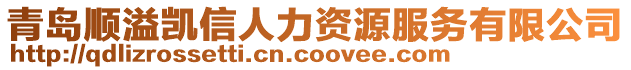 青島順溢凱信人力資源服務(wù)有限公司