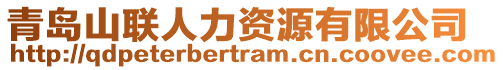 青島山聯(lián)人力資源有限公司