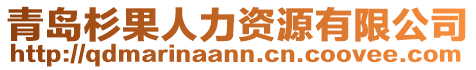 青島杉果人力資源有限公司