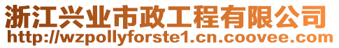 浙江興業(yè)市政工程有限公司