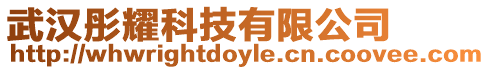 武漢彤耀科技有限公司