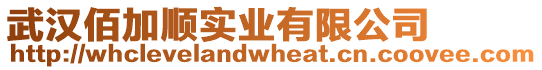 武漢佰加順實業(yè)有限公司