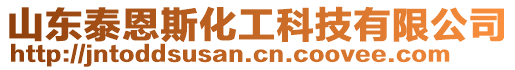 山東泰恩斯化工科技有限公司