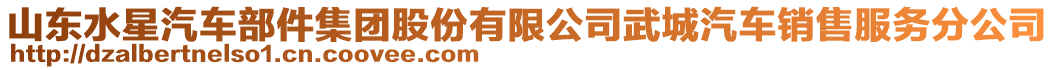 山东水星汽车部件集团股份有限公司武城汽车销售服务分公司